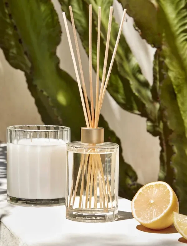 Circa Home Pear & Lime Fragrance Diffuser 250ml< Diffusers | Tops
